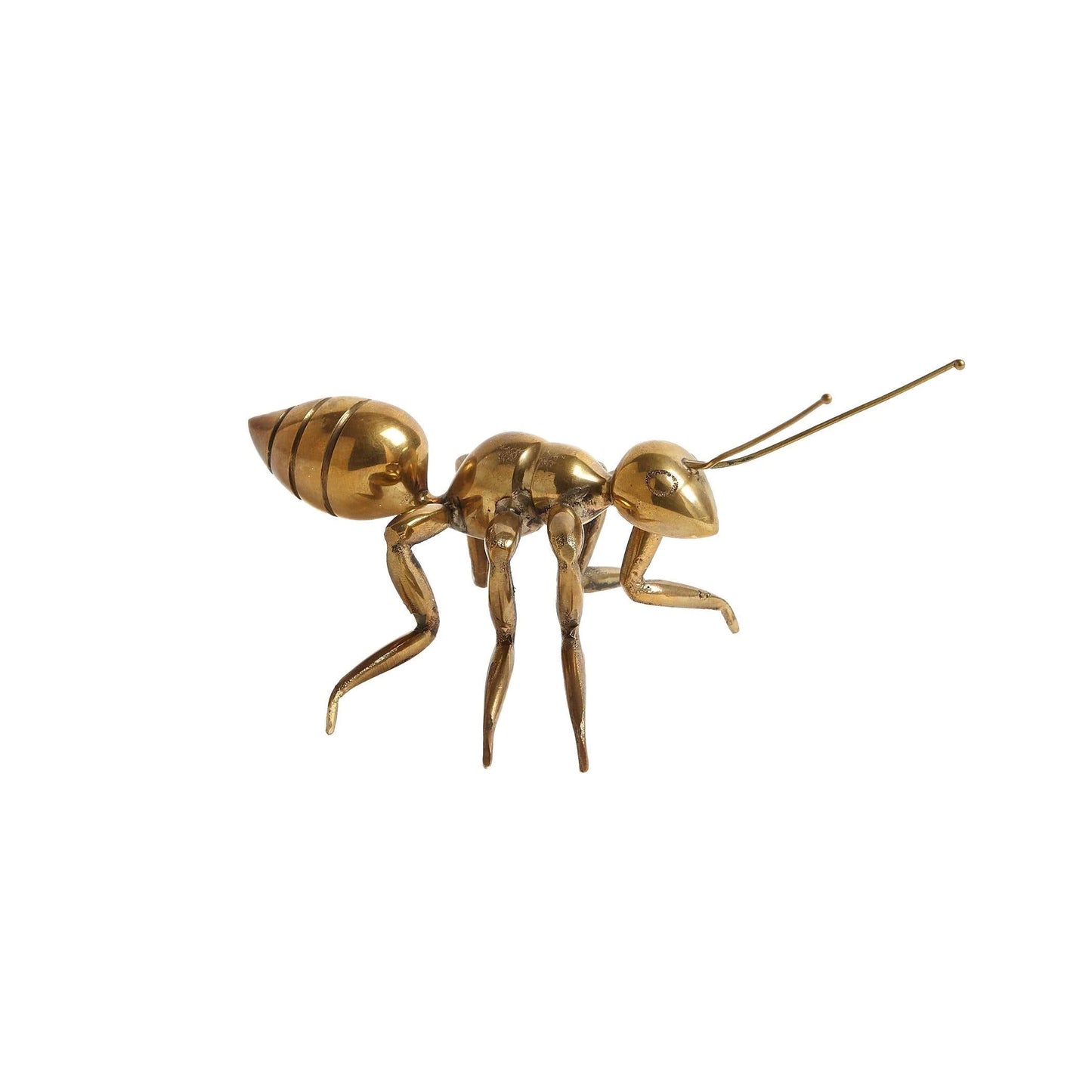 Pharaoh Ant - Antique Nickel